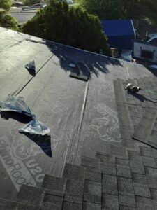 Shingle Roof replacement